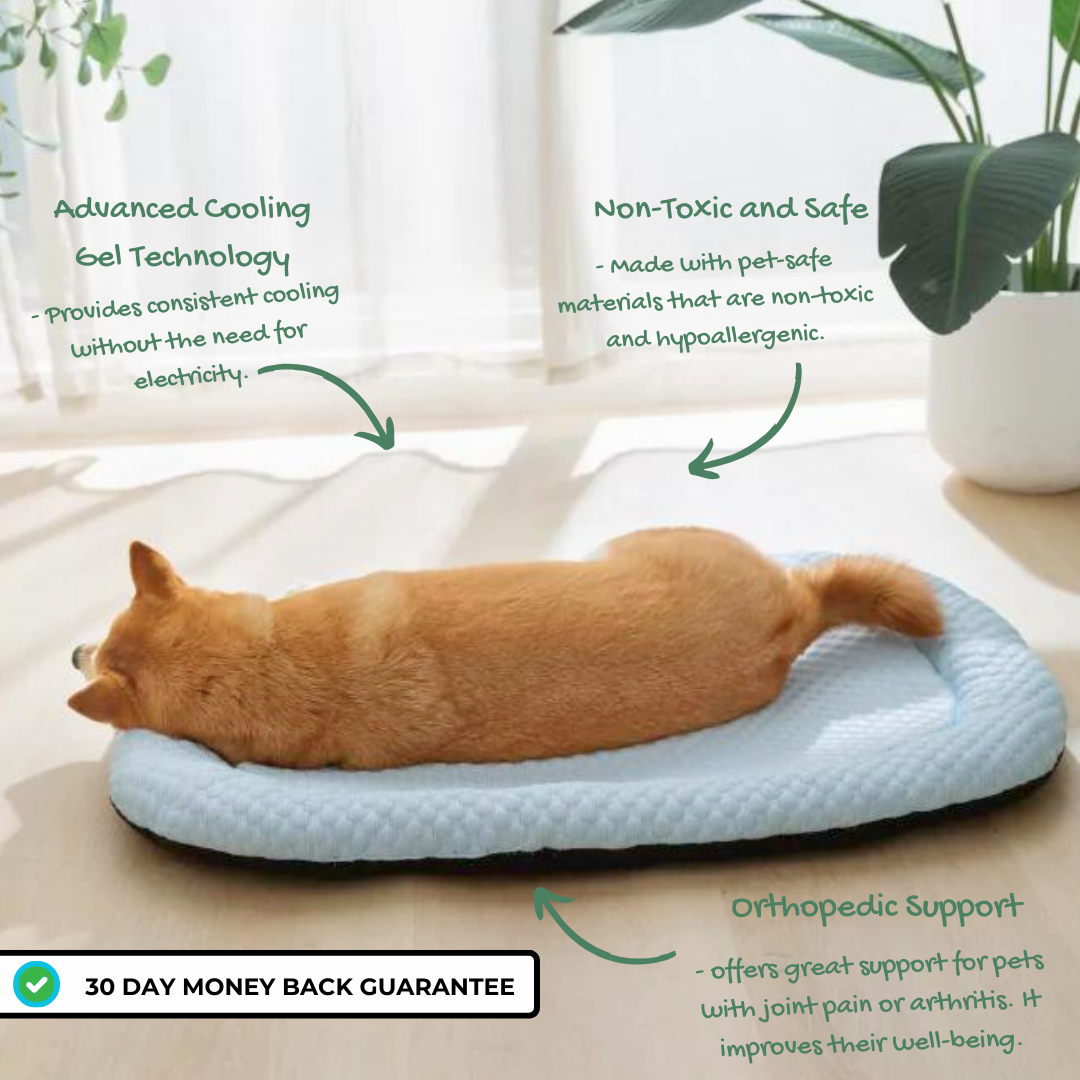 The Cooling Pet Bed™