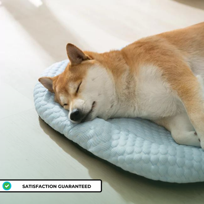 The Cooling Pet Bed™