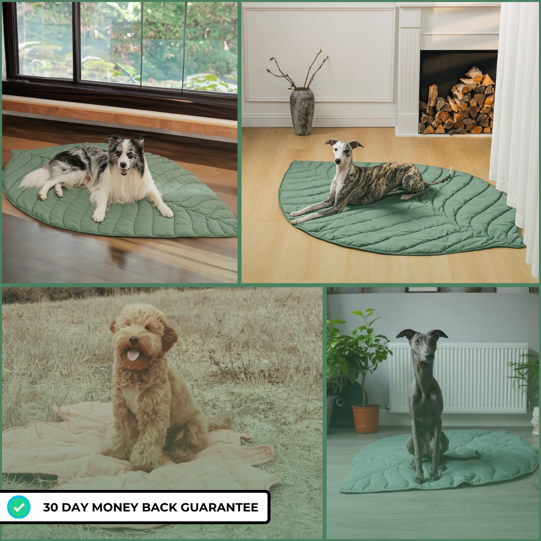 Leaf Shape Dog Blanket