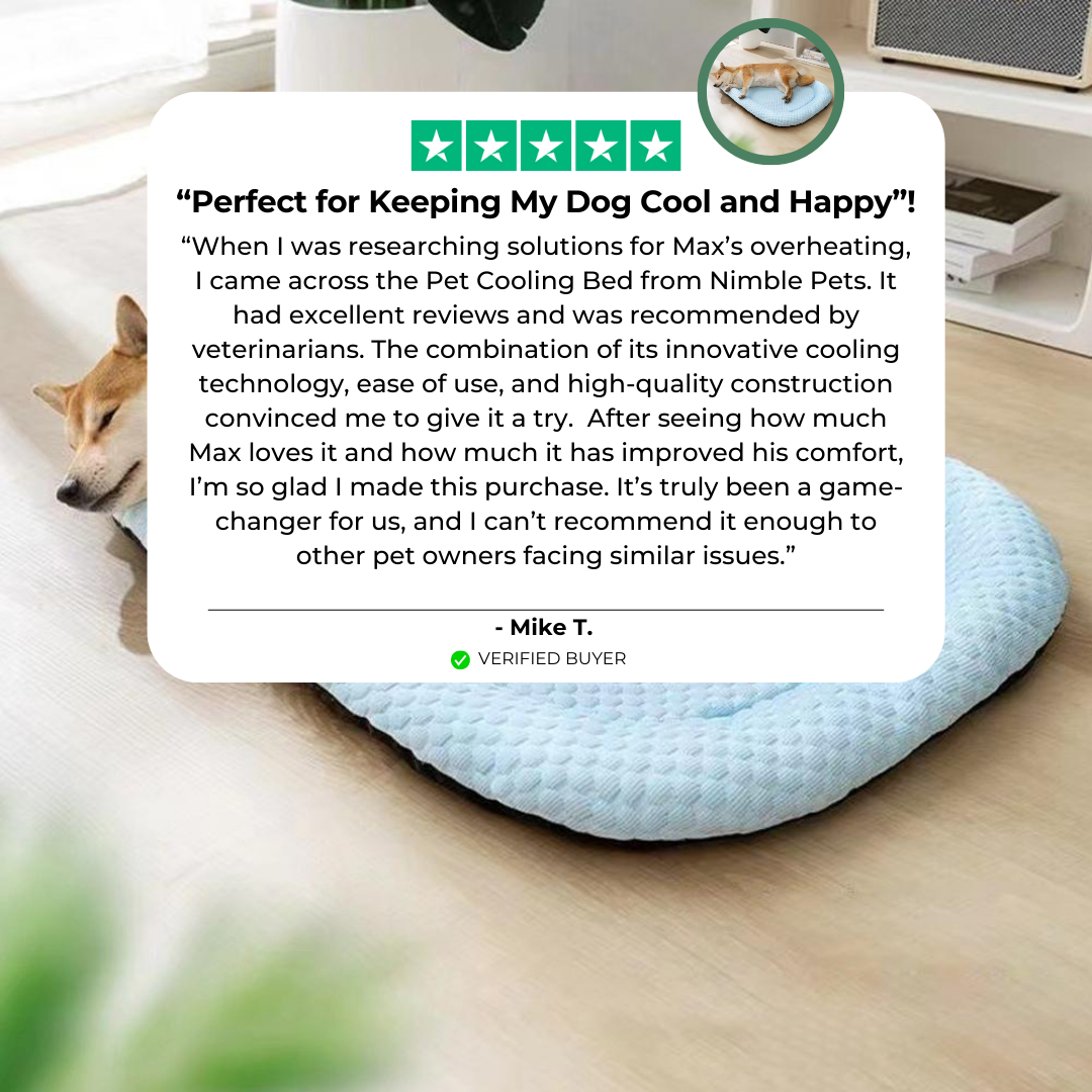 The Cooling Pet Bed™