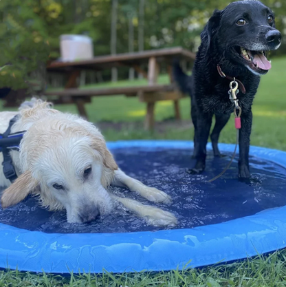 Water Sprinkler Pad