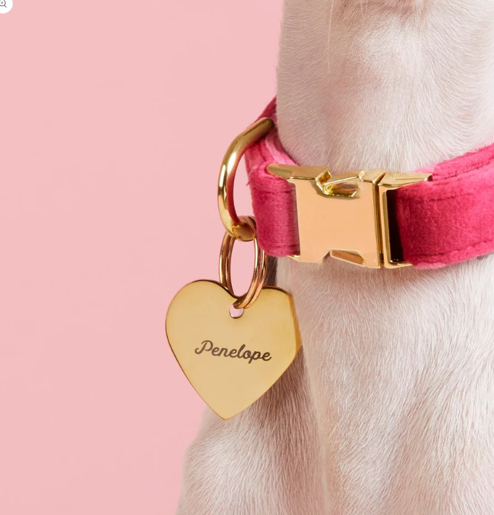 Heart Pet ID Tag